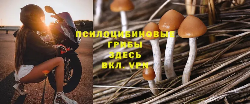 Псилоцибиновые грибы Magic Shrooms Донецк